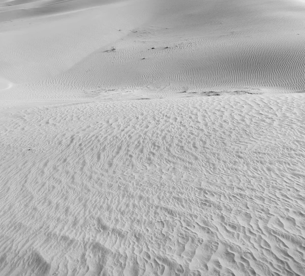 Em oman velho deserto esfregar al khali o quarto vazio e ao ar livre s — Fotografia de Stock