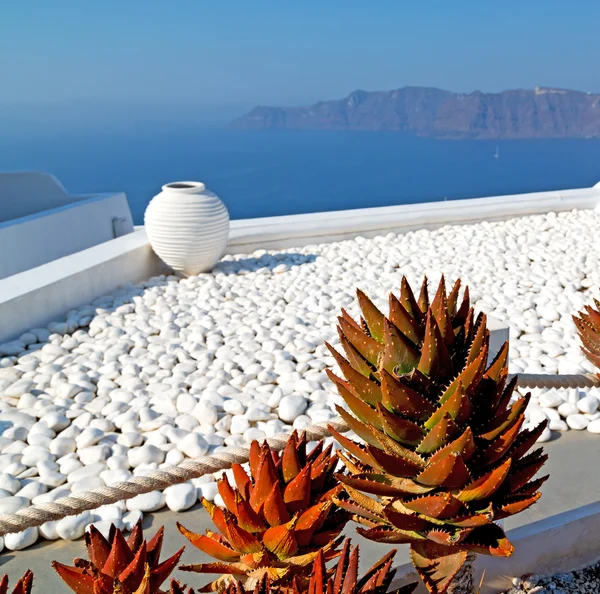 Fiori in architettura europa cicladi santorini centro storico — Foto Stock