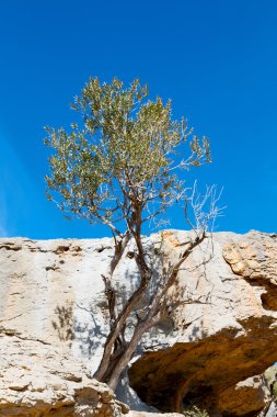 Umman eski dağ gorge ve kanyon derin bulutlu gökyüzü 