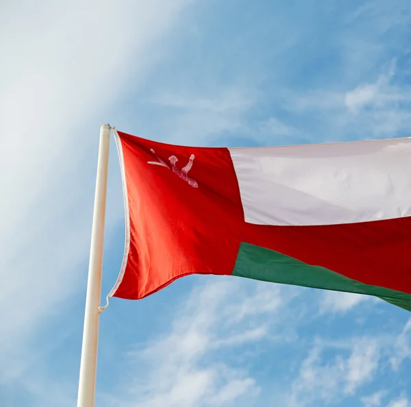 W oman macha flagą i pochmurne niebo — Zdjęcie stockowe