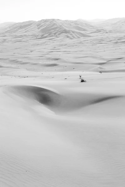 Em oman velho deserto esfregar al khali o quarto vazio e ao ar livre — Fotografia de Stock