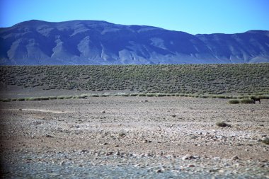 Afrika Fas dağ Vadisi hill  
