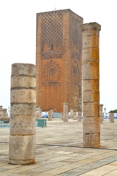 The   chellah  in morocco africa  old roman deteriorated monumen — Stock Photo, Image