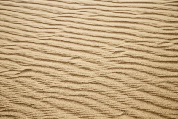 África la línea del desierto del sahara de dunas marrones — Foto de Stock