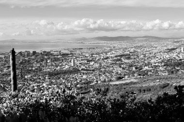 Güney Afrika cape town şehir manzarası içinde dağ 