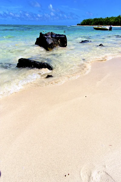 Playa ile du cerfs algas barco indio — Foto de Stock