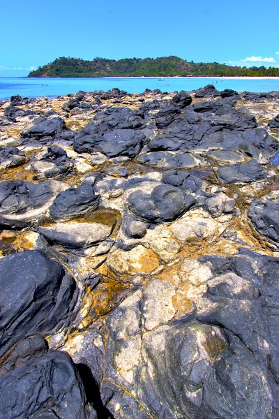 Andilana plaża wodorostów i skały — Zdjęcie stockowe