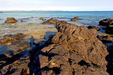     Madagaskar andilana plaj deniz yosunu ve rock 
