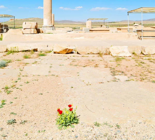 En iran pasargad la vieja construcción —  Fotos de Stock