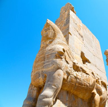 İran persepolis  