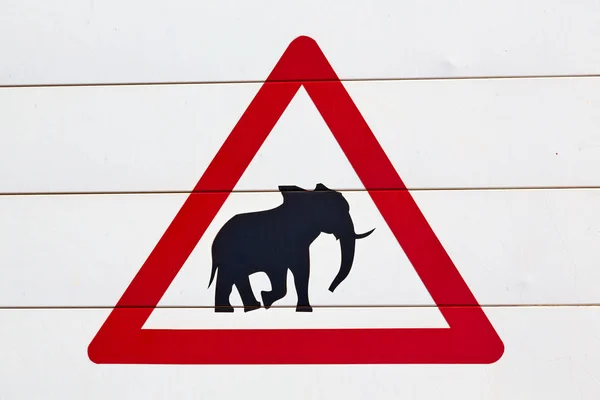 In Zuid-Afrika close-up van het teken van de olifant — Stockfoto