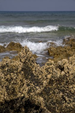   Lanzarote Adası köpük İspanya manzara gökyüzü bulut su 