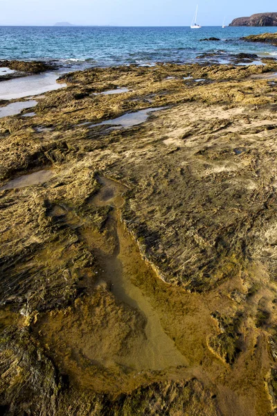 兰萨罗特岛麝香池塘水游艇船海岸线夏季 — 图库照片
