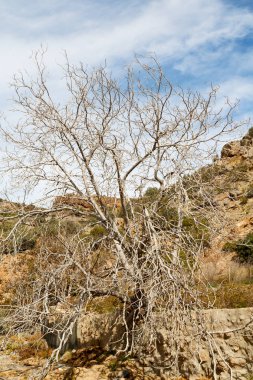 Umman dağda eski terk edilmiş köy evi ve cl kemer
