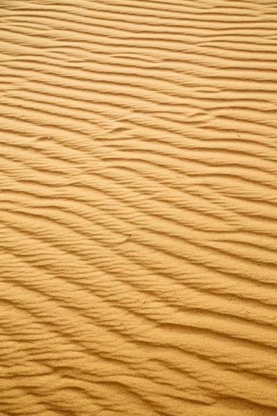 Brown sand dune  the sahara morocco desert — Stock Photo, Image