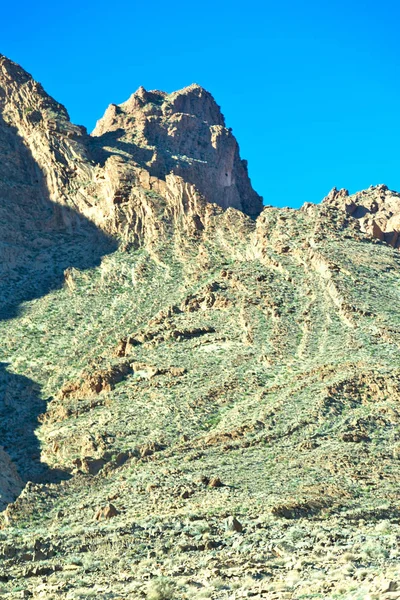 Brown bush in valley Marokko Afrika de atlas droge mount — Stockfoto