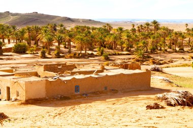 Sahara Afrika Fas palm eski inşaat ve onun