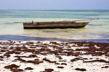 Zanzibar kıyı şeridi tekne pirague mavi lagün sakin ol. 
