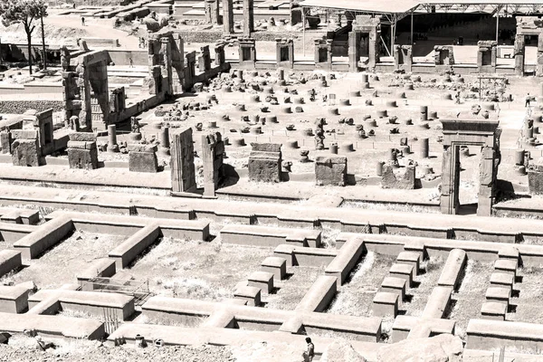 In iran     persepolis — Stock Photo, Image