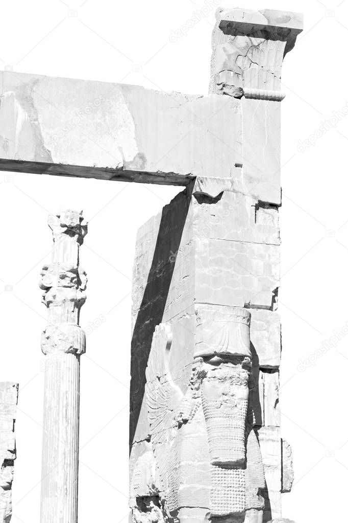 in iran     persepolis  