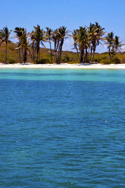 Kıyı şeridi ve Isla contoy Meksika — Stok fotoğraf