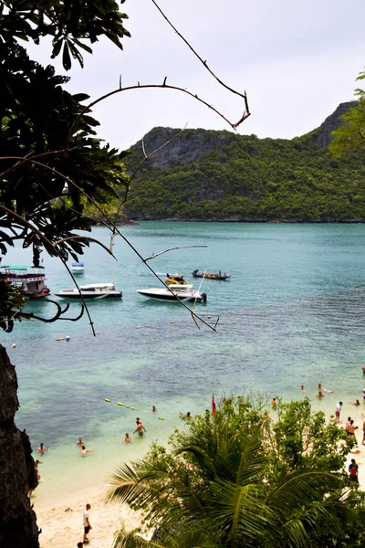 Boot kustlijn van groene lagune en boom mensen — Stockfoto