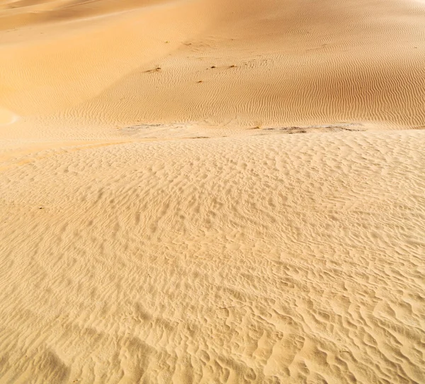 In oman old desert rub al khali the empty quarter and outdoor  s — Stock Photo, Image