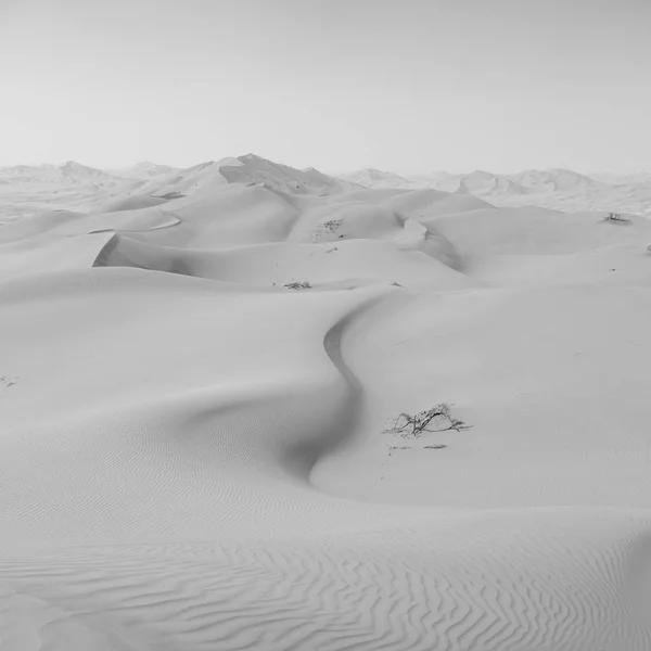 En oman viejo desierto frotar al khali el cuarto vacío y al aire libre s —  Fotos de Stock