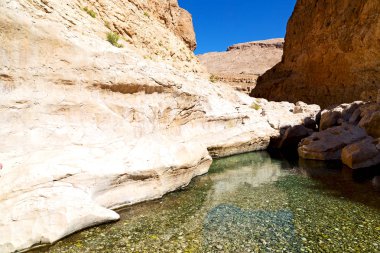   arka plan doku blur ve