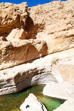   arka plan doku blur ve