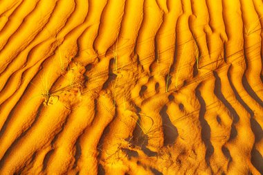 Umman eski çöl ve boş çeyrek soyut doku l