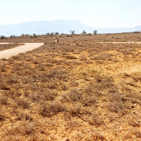 In south africa valley of desolation — Stock Photo, Image