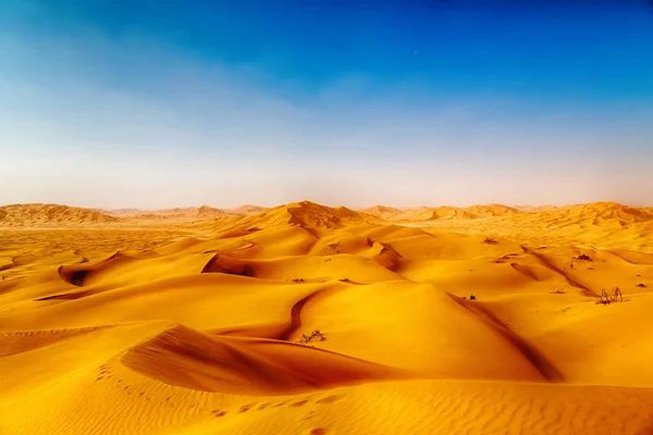 Dans oman vieux désert frotter al khali le quartier vide et en plein air — Photo