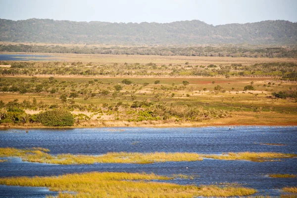 En Sudáfrica estanque lago reserva natural y arbusto — Foto de Stock