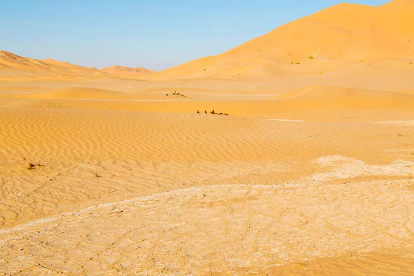 古いオマーンの砂漠のルブアルハリ四半期および屋外の空 — ストック写真