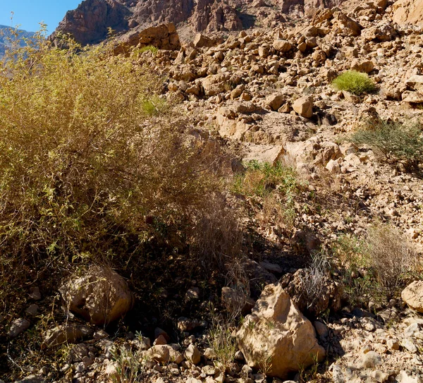 In oman  the old mountain gorge and canyon the deep cloudy  sky Stock Photo