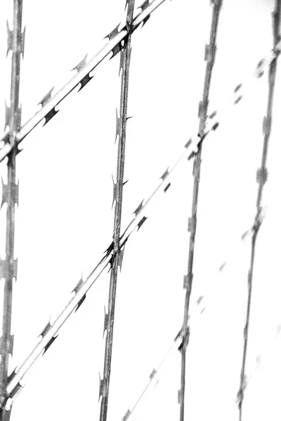 Abstrakcja drut razor w bezchmurne niebo — Zdjęcie stockowe
