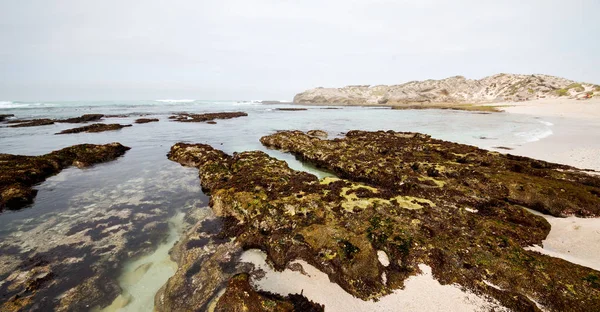 In Sudafrica riserva oceanica del cielo — Foto Stock