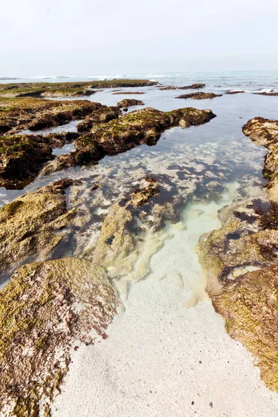 V Jižní Africe sky oceánu rezervaci — Stock fotografie