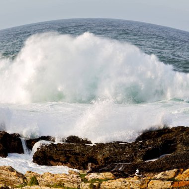   Güney Afrika gökyüzü okyanus yedek olarak  