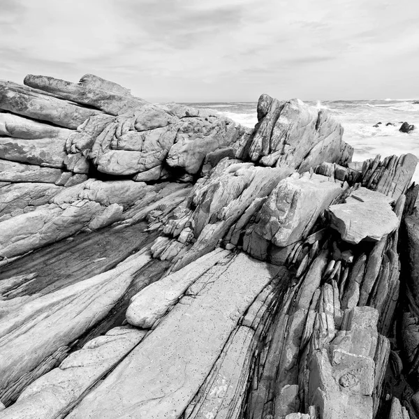 In south africa   sky  ocean       reserve — Stock Photo, Image