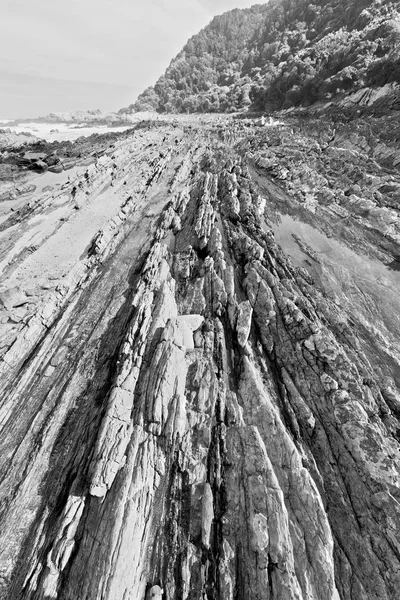 In Sudafrica riserva oceanica del cielo — Foto Stock