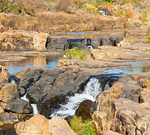 In südafrikanischer Flussschlucht — Stockfoto