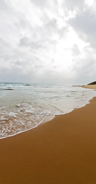 In south africa   sky  ocean       reserve — Stock Photo, Image