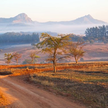   Svaziland yaban hayatı doğa rezerv 
