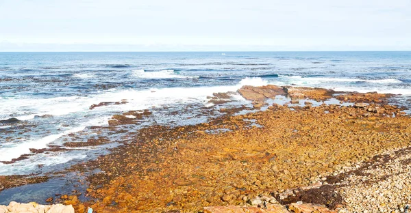 In costa sudafricana e riserva naturale del parco — Foto Stock