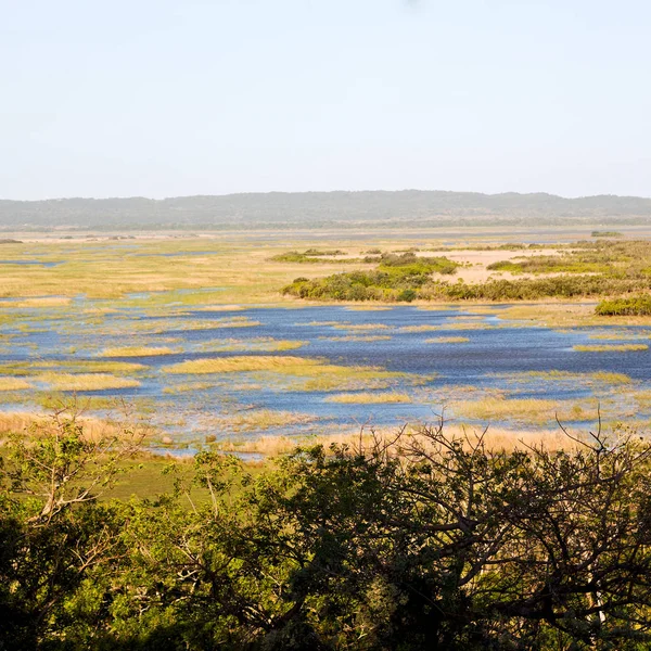 En Afrique du Sud étang lac réserve naturelle et buisson — Photo