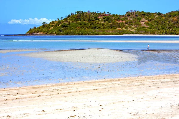 Hermosa andilana playa algas indias — Foto de Stock