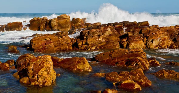 В Південній Африці небо океану заповідника — стокове фото