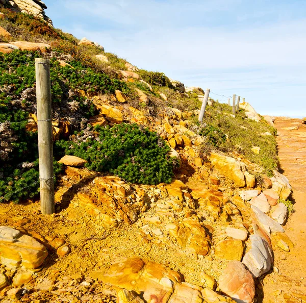 En Afrique du Sud littoral et réserve de parc naturel — Photo